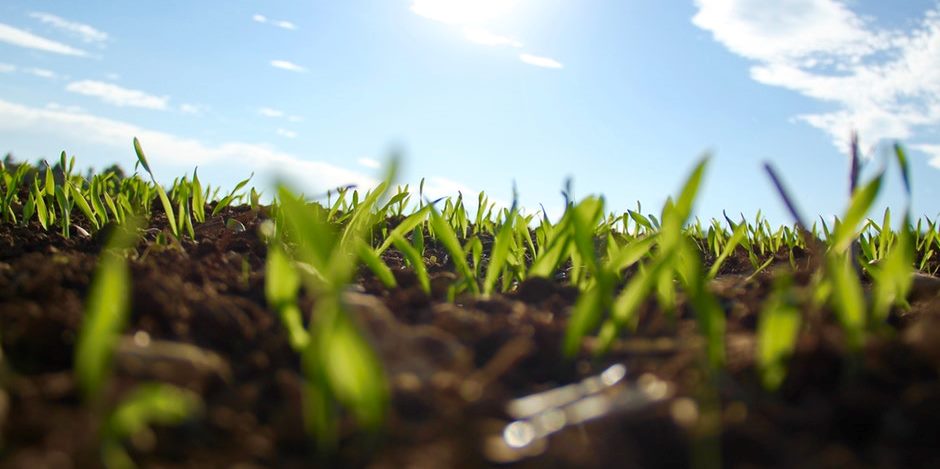 El pasado 12 de abril del presente año, entró en vigencia el cuerpo normativo más importante del país en Derecho Ambiental, el Código Orgánico del Ambiente. Esta nueva ley ambiental regula los ámbitos de calidad ambiental, cambio climático, patrimonio natural, zona marino costera, fauna urbana, responsabilidad objetiva, reparación ambiental, entre otros; y deroga varias normas […]